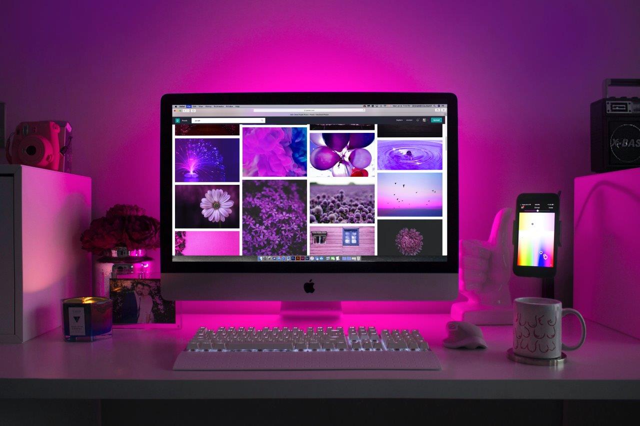 Web Design & Web Development